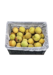 Custom Nonwoven Fruit Protection Bag Making Machine