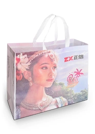 3D Nonwoven Box Bag Making Machine with Online Handle Sealing