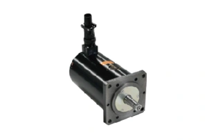 Stepper Motor
